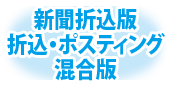 折込版