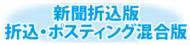折込版